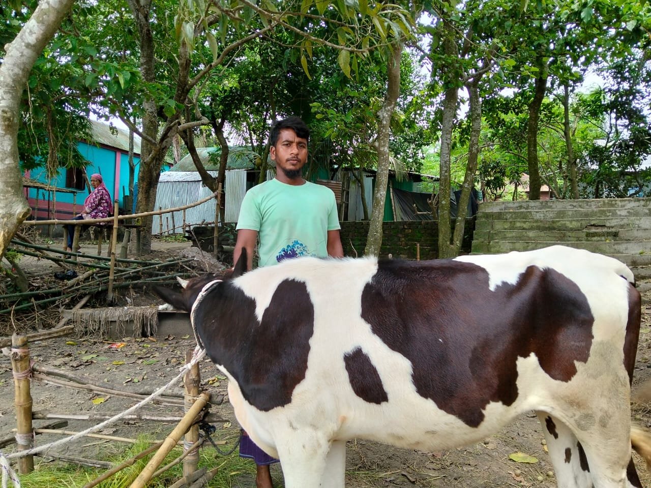 Young man with a black-and-white cow in a yard.